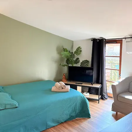 L'ecrin De Foix, Vue Imprenable Sur Le Chateau *