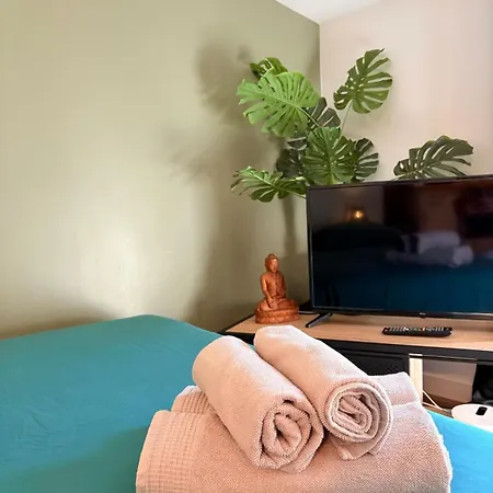 L'ecrin De Foix, Vue Imprenable Sur Le Chateau Lejlighed *